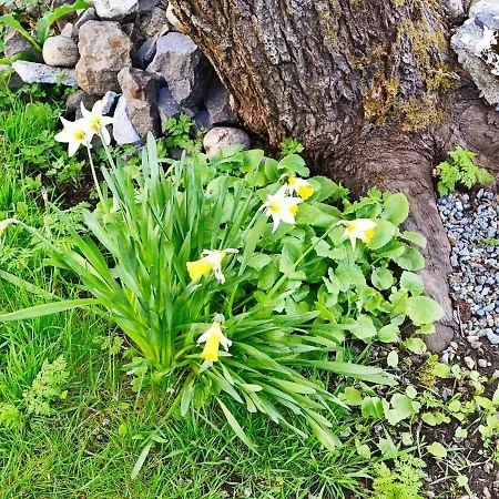 Holiday Sørvågen
